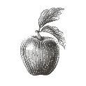 apple-01 apple-01